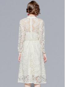 For Sale Lace Hollow Out Nobel Dress 