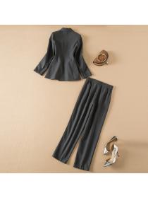 Fashion business suit long tops 2pcs set for women