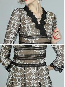 Elegant style Fashion embroidered lace gauze dress